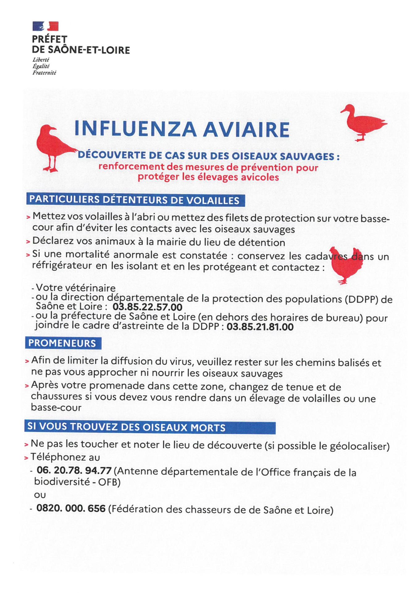 INFLUENZA AVIAIRE